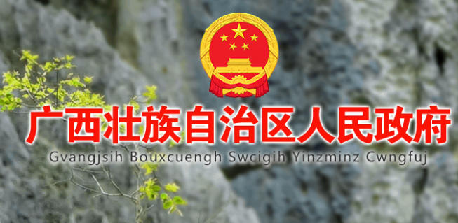 广西政务服务网官网入口-广西数字政务一体化平台