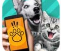 pet translator猫狗翻译器下载-猫狗翻译器app免费版下载安装