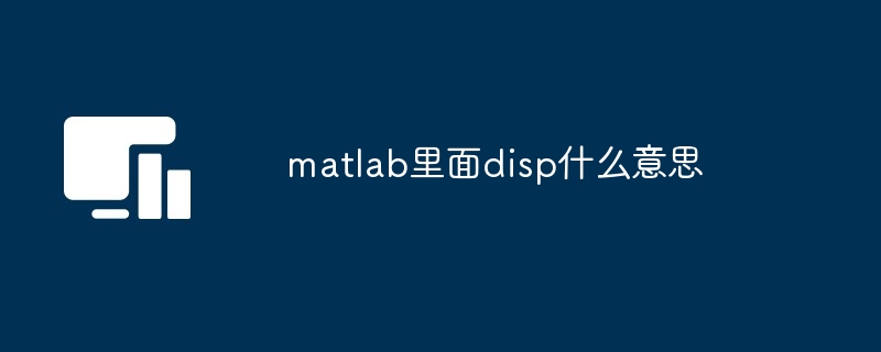 matlab里面disp什么意思